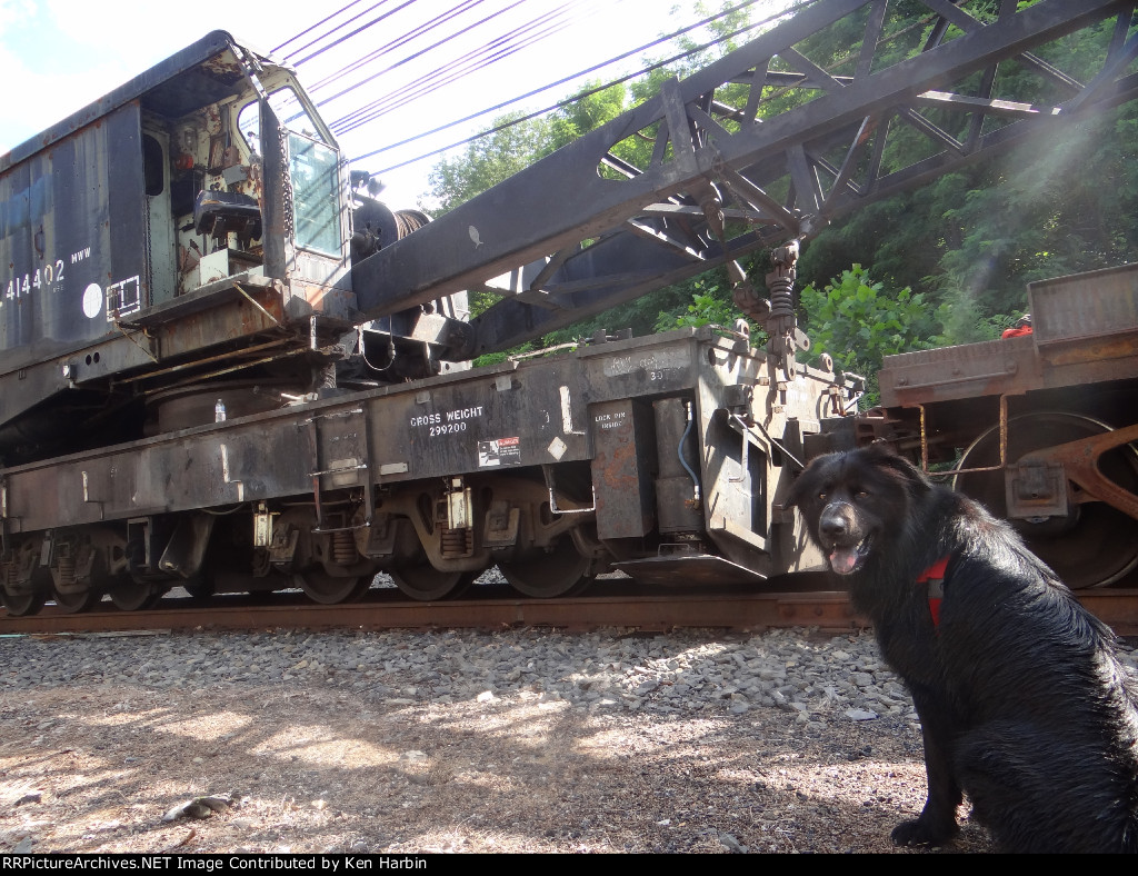 DL 414402 wreck crane